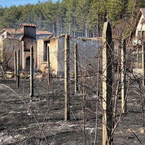 Вили и фургони изгоряха във вилната зона на Лесичово