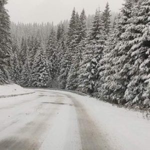 Днес е най-късият ден в годината