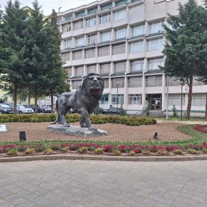 Пазарджик: Чистят изсъхнали клони и дървета от парковете, озеленяват с пролетни цветя