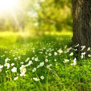 През април от 0 до 29 градуса, ето каква е прогнозата