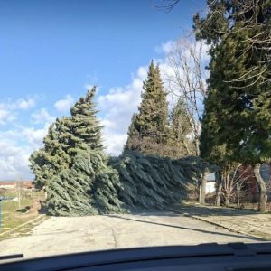 Силният вятър вилнее и в община Лесичово