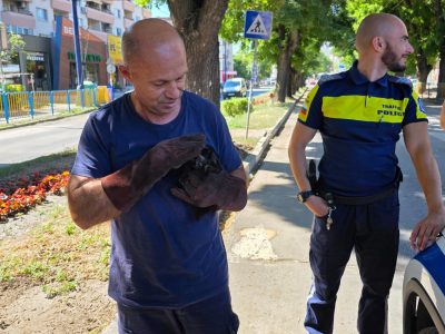 Специална акция в Пазарджик – с обич към животните