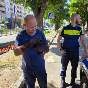 Специална акция в Пазарджик – с обич към животните