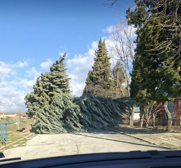 Силният вятър вилнее и в община Лесичово 1 602450259 122264020916199703 1080605476600893884 n