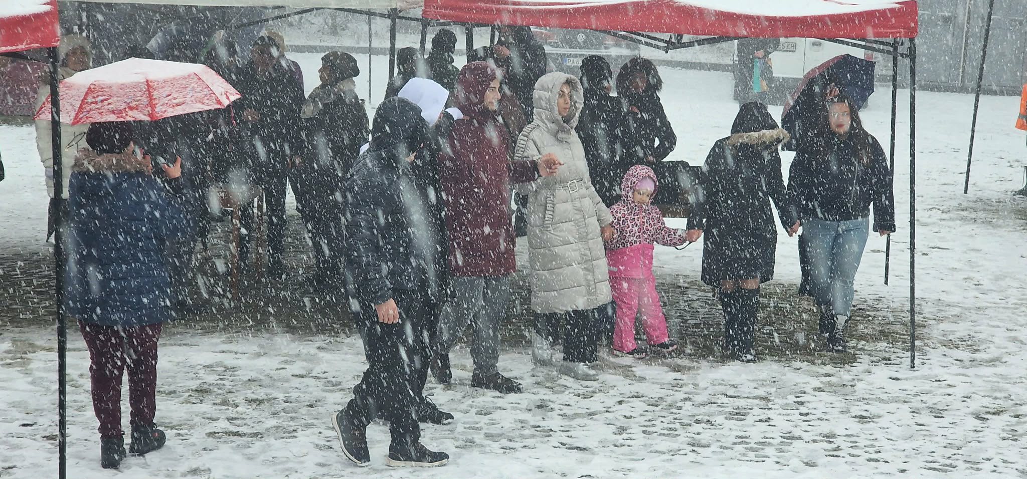 Кметът Йордан Младенов заряза лозата на Перистера, Румен Мугленчов стана Цар на виното в Пещера 7 624350819 33647959661485189 1735930058363836061 n